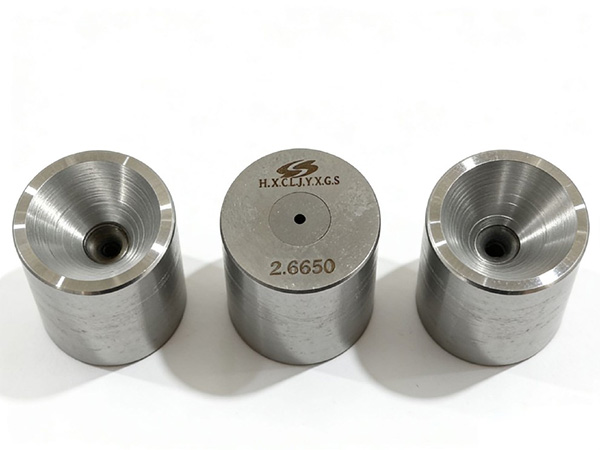 Stripping Die